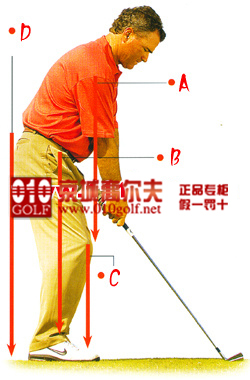 百家教练图解高尔夫标准站姿