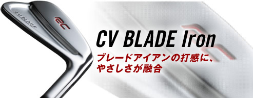 RC CV BLADE 软铁锻造铁杆组