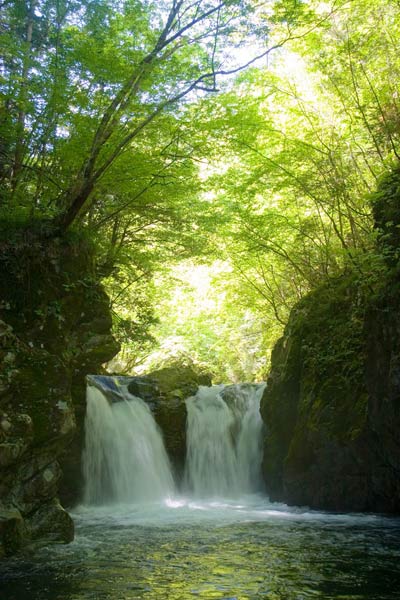 日本岐阜县 绿谷清流中流淌的诗意世界