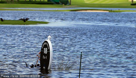 LPGA巴哈马站前两轮或打12洞球场被淹只得出下策