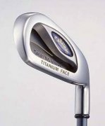 Callaway Great Big Bertha 铁杆